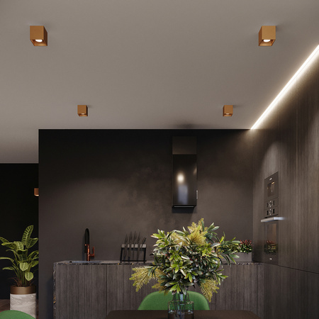 Nástěnné svítidlo QUAD 1 G9 Gold Minimalist SOLLUX