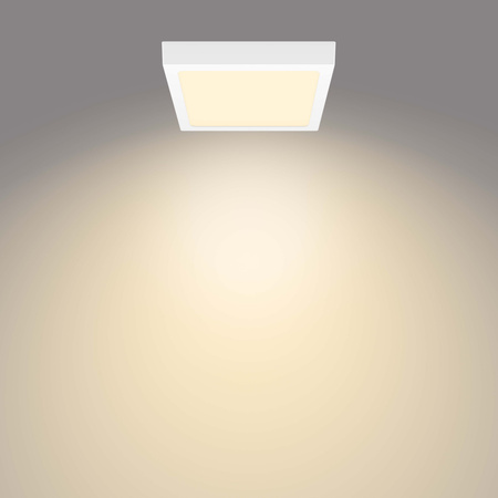 Plafond Panelová LED přisazená stropní lampa MAGNEOS 12W 2700K 21cm Bílé Downlight Square PHILIPS
