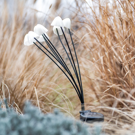 2x Solární LED lampa IP65, 3000K CARI LUMILED