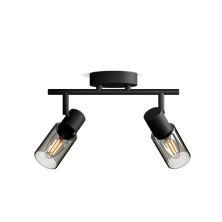 Reflektorové stropní svítidlo 2x E14 Black Palms Philips