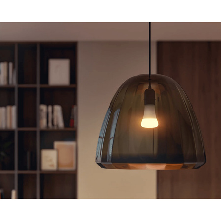 LED žárovka E27 A67 15,5W 2700K teplá bílá PHILIPS HUE White Bluetooth Zigbee