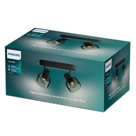 Reflektorové stropní svítidlo 2x E14 Black Sleet Philips