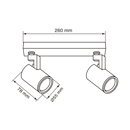 Nástěnné a stropní bodové svítidlo 2x GU10 černé LYNX Sanico Goldlux
