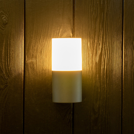 LED fasádní nástěnné svítidlo E27 IP44 17cm grafitové DALLAS GOLDLUX (Polux)