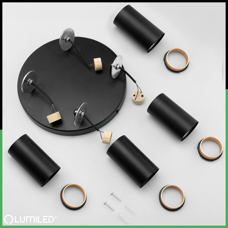 Reflektorové stropní svítidlo 4x GU10 Plafond ELIGIS Black LUMILED