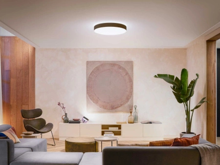 LED stropní světlo Enrave Black 48W 55cm CCT PHILIPS HUE Bluetooth + stmívač