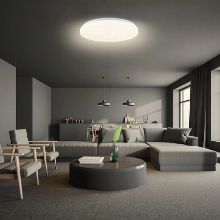 PLAFON LED 49cm kulatá stropní lampa RGBW 3000K-6500K + dálkové ovládání BLUETOOTH reproduktor