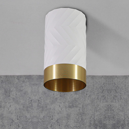 ARRAS GU10 Tuba Spot Round White GOLDLUX Stropní svítidlo pro povrchovou montáž