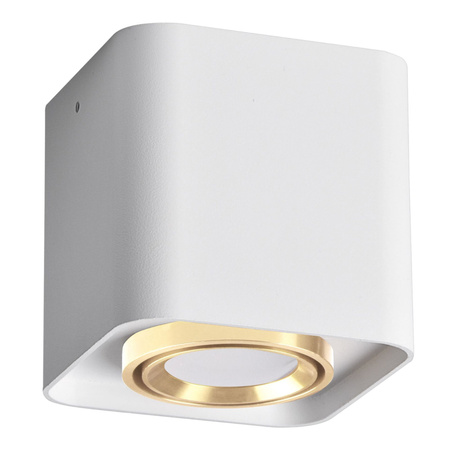 Bodové svítidlo GU10 bílé XENO Sanico Goldlux pro povrchovou montáž