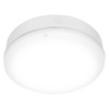 LED 10W 800lm 4000K IP65 White Surface Bulkhead Ledvance venkovní stropní a nástěnné svítidlo