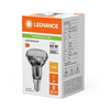 LED žárovka R50 E14 4,3W = 60W 350lm 2700K teplá bílá FILAMENT LEDVANCE
