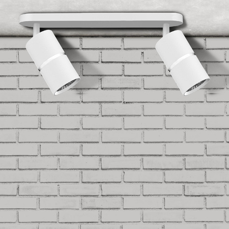 Nástěnné a stropní bodové svítidlo 2x GU10 White Silver BAMBOO Sanico Goldlux