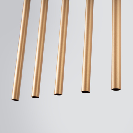 PASTELO 5L 5xG9 Zlatá moderní stropní závěsná lampa SOLLUX