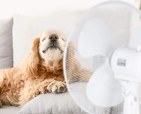 Podlahový ventilátor Stojanový větrný mlýn KOBI 45W 43cm Bílý