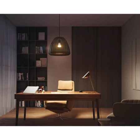 LED žárovka E27 A67 15,5W 2700K teplá bílá PHILIPS HUE White Bluetooth Zigbee