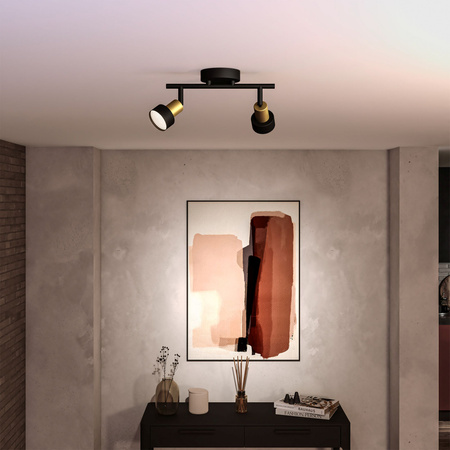 Reflektorové stropní svítidlo 2x GU10 černá-měděný vodič Philips