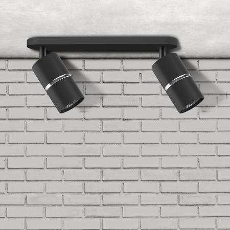Nástěnné a stropní bodové svítidlo 2x GU10 BlackSilver BAMBOO Sanico Goldlux