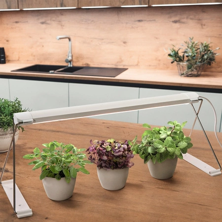 Vnitřní osvětlení LEDVANCE 14W 3650K podporující růst rostlin