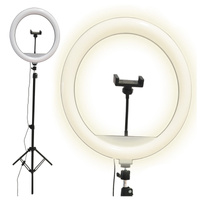 LED stojací lampa 15W 330lm 2700-4000-6500K teplá 360° černá stmívatelná SELFIE Sanico Goldlux