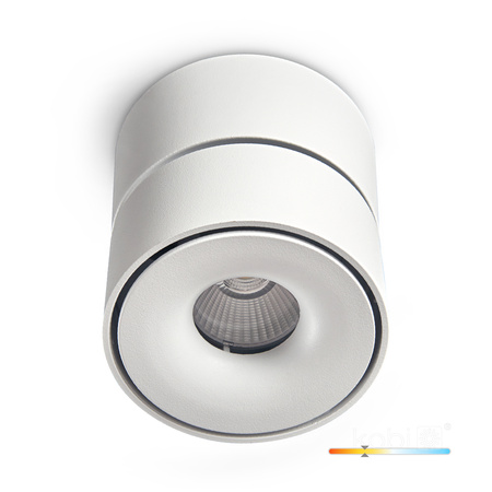 Stropní svítidlo Reflektor nastavitelný LED 9W 550lm 3000K Teplá stmívatelná CRI90 Bílá Lahti Kobi