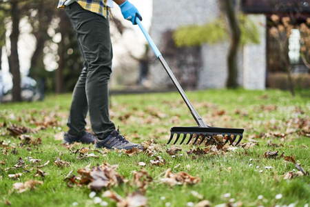 Univerzální hrábě IDEAL PRO CELLFAST