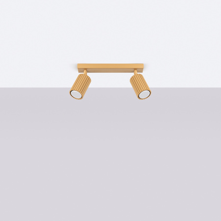 Bodové reflektorové stropní svítidlo Tuba 2x GU10 Gold Carbon Deep Space SL.1561 Sollux