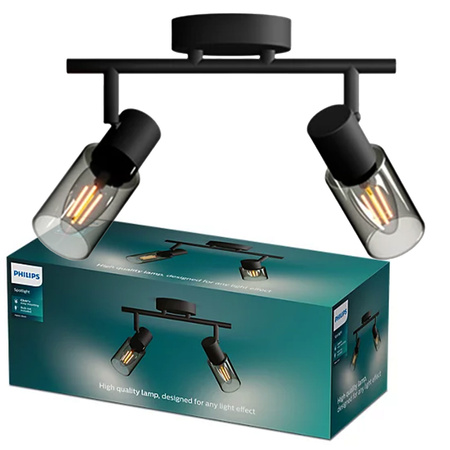 Reflektorové stropní svítidlo 2x E14 Black Palms Philips