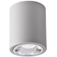 Stropní svítidlo přisazené. bodové z kovové trubky JUPITER 10 GOLDLUX (Polux) DOWNLIGHT E27 šedá
