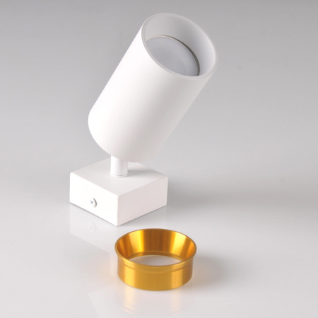 Nástěnné svítidlo Reflektorové nástěnné a stropní LED svítidlo 1 x GU10 MARIBEL White GOLDLUX (Polux)