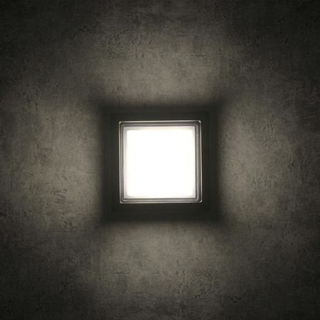 KANSAS LED nástěnná lampa zahradní lampa IP44 12W 4000K černá GOLDLUX (Polux)