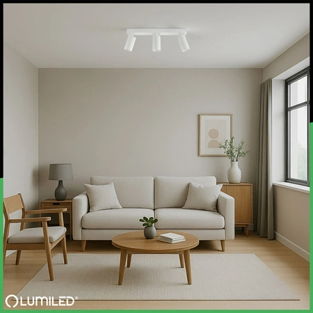 Stropní svítidlo SPOT TUBA Reflektor Halogenové svítidlo 3x GU10 TABULA LUMILED