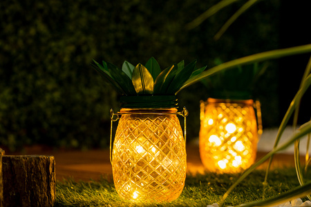 Zahradní lampa LED Solární lucerna Závěsná nádoba ANANAS Glass 3000K