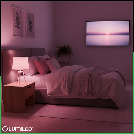 LED žárovka E27 A60 9W = 60W 806lm RGB+3000K Stmívatelná inteligentní LUMILED