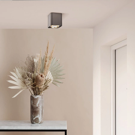 Spot GU10 Black Gold XENO Sanico Goldlux Svítidlo pro povrchovou montáž