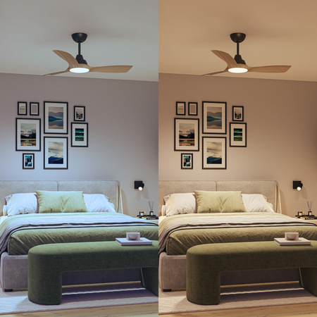 Stropní ventilátor 28W LED stropní svítidlo 24W 2650lm 3000/4300/6500K CCT Black Brown + Pilot Olas Philips