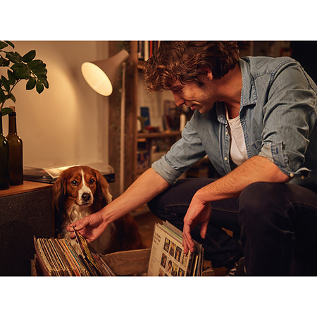 LED žárovka E27 A60 7.5W = 60W 806lm 3000K Teplá bílá PHILIPS