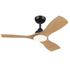 Stropní ventilátor 28W LED stropní svítidlo 24W 2650lm 3000/4300/6500K CCT Black Brown + Pilot Olas Philips