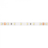 LED pásek SMD 2835 10,8W/m 500lm/m 60LED/m 24V 6500K Cold IP20 Roll 5m Ecolight