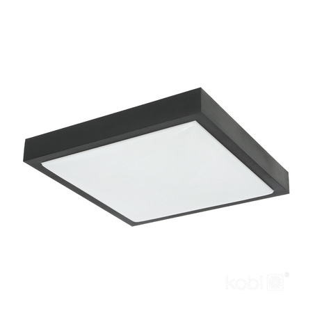 Plafond LED stropní svítidlo SAMIRA S 2x E27 30cm IP20 Black KOBI