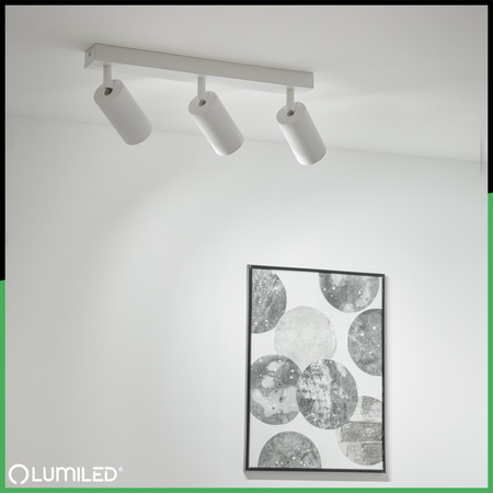 Stropní svítidlo SPOT TUBA Reflektor Halogenové svítidlo 3x GU10 TABULA LUMILED