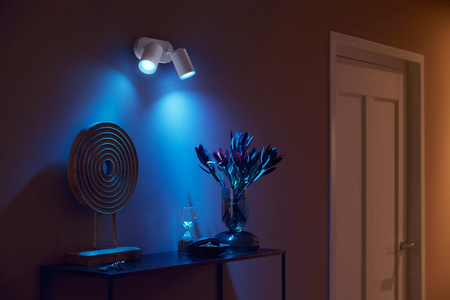 Philips HUE White and Color Ambiance Fugato Lamp 2x4,2W Bluetooth Zigbee