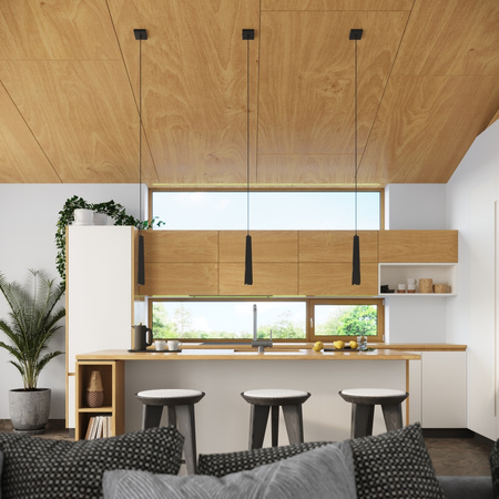 PRYSM 1 G9 Black Skandinávské stropní závěsné svítidlo SOLLUX