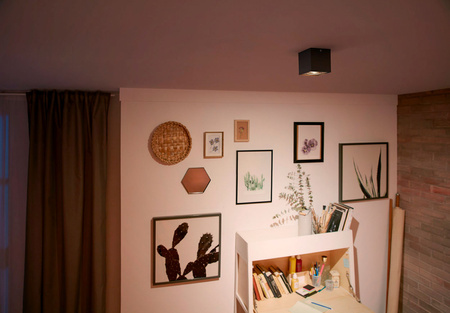 LED halogenové svítidlo pro povrchovou montáž 4,5W BOX Movable Black PHILIPS