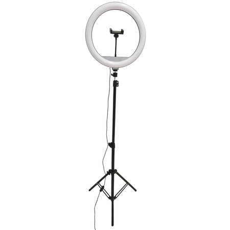 LED stojací lampa 15W 330lm 2700-4000-6500K teplá 360° černá stmívatelná SELFIE Sanico Goldlux