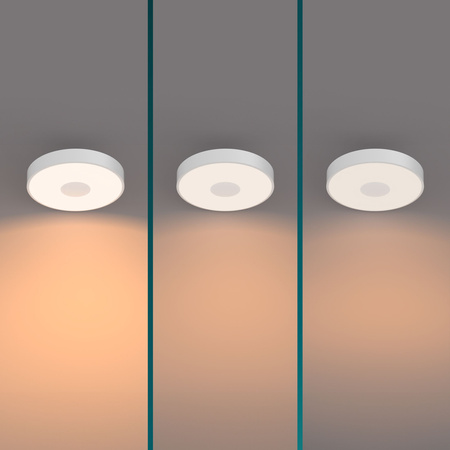 Stropní svítidlo LED Plafond 24W 2700lm 2700K SceneSwitch White Coiner Philips