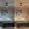 Stropní ventilátor 32W LED stropní svítidlo 24W 2650lm 3000/4300/6500K CCT Black Brown + Pilot Olas Philips