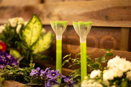 Zahradní lampa LED se solárním pohonem TULIPANEK Green