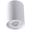 Stropní přisazené svítidlo HADAR R1 1xGU10 Movable Round White