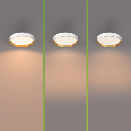 Stropní svítidlo LED Plafond 24W 2700lm 2700K SceneSwitch White Hanno Philips