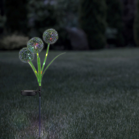 Allium Color Sanico Goldlux Solární LED řízený česnek Zahradní květina IP44 se soumrakovým senzorem